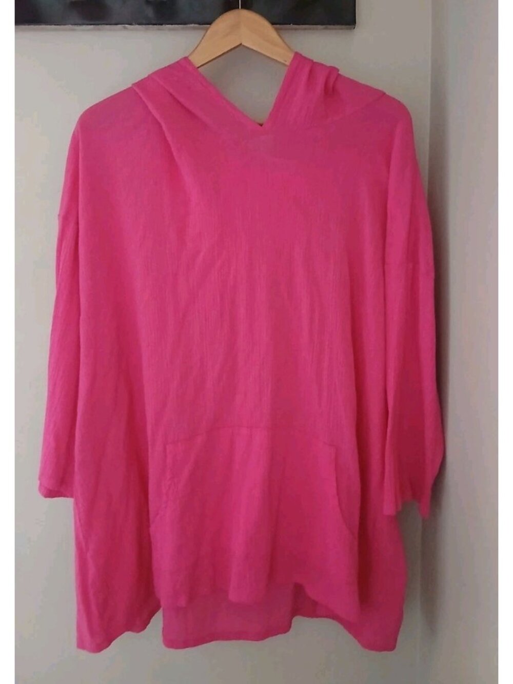 Bryn Walker Hooded Tunic Top